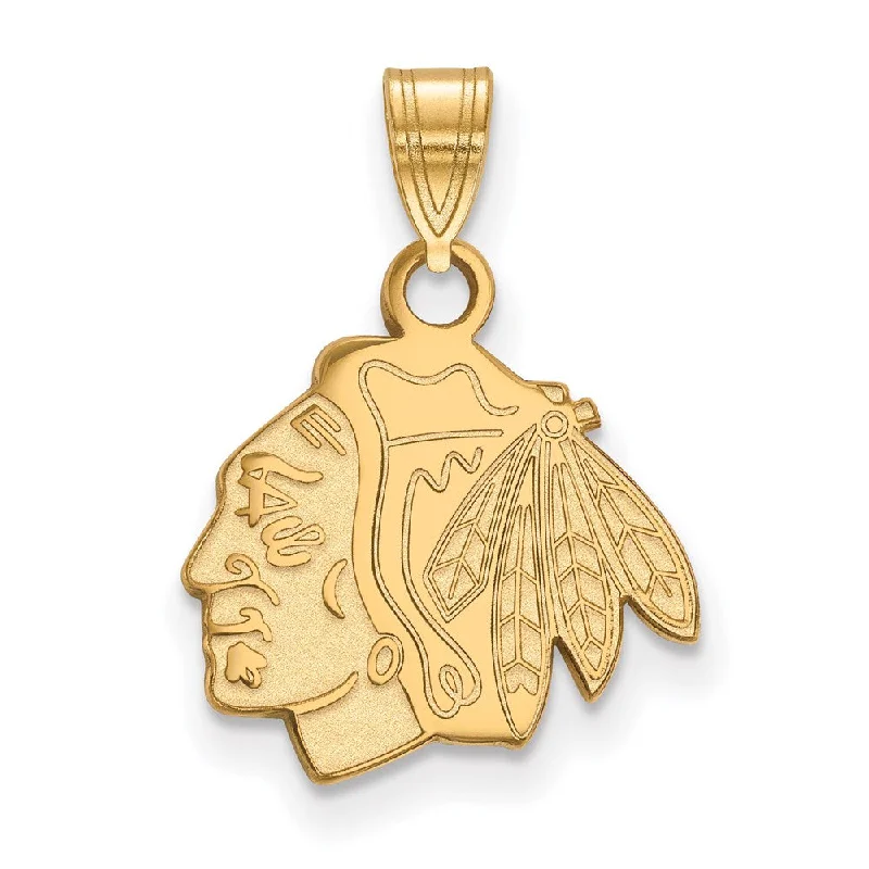 Resin Pendants with Encapsulated Butterfly WingsSS 14k Yellow Gold Plated NHL Chicago Blackhawks SM Logo Pendant